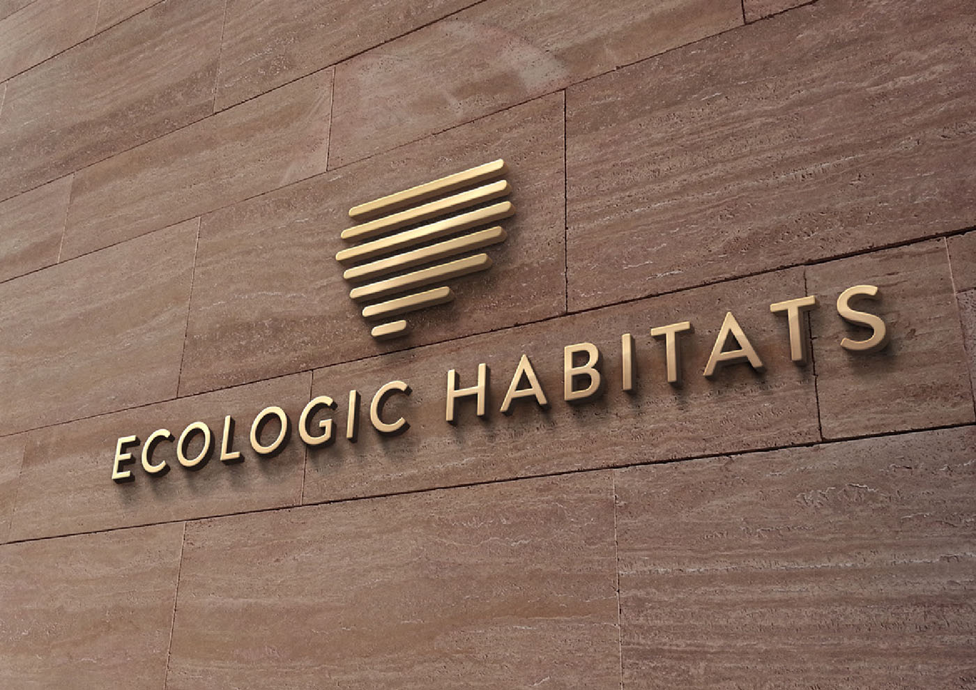 Ecologic habitats Logo and website Design by Studio Exalt