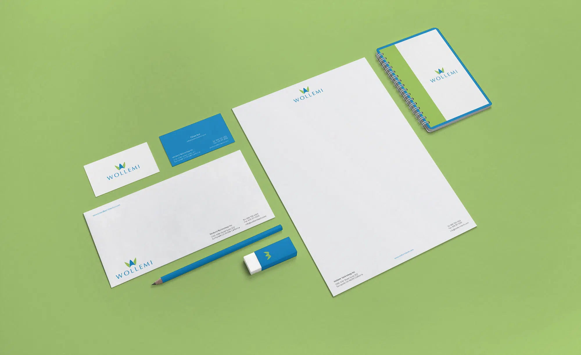 Wollemi - Logo and website design by Studio Exalt