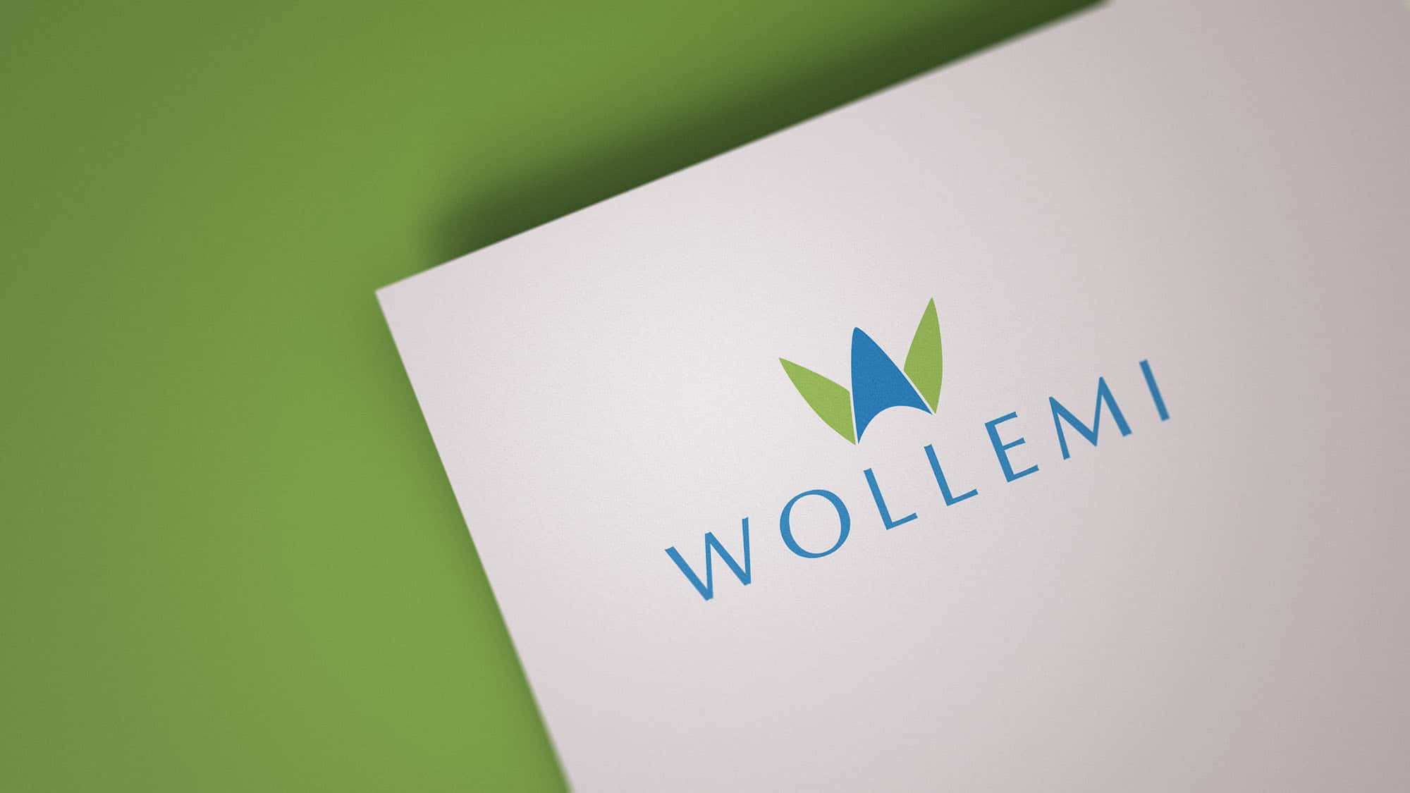 Wollemi - Logo and website design by Studio Exalt
