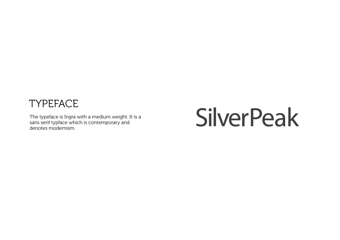 SilverPeak-Global-Logo-Design-Studio-Exalt_option1